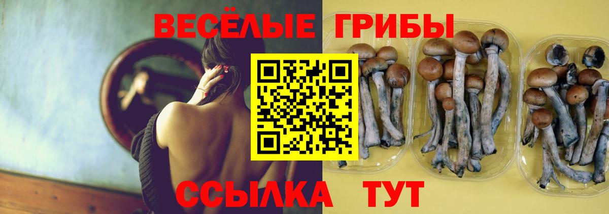 Армавир  Псилоцибиновые грибы Psilocybe  Псилоцибиновые грибы прущие грибы  Вход с VPN 